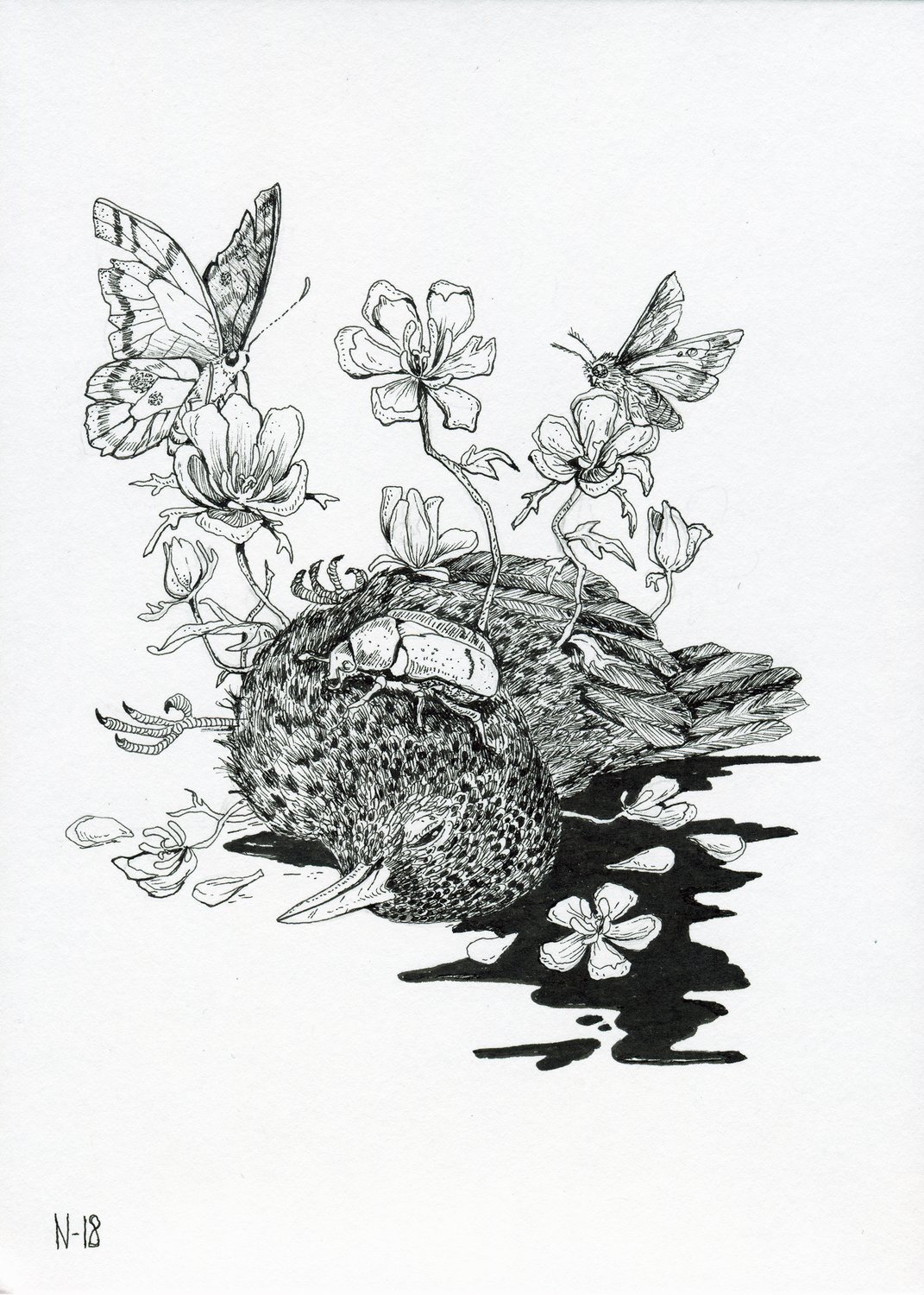 Bird Gone, mustekynäpiirustus, Nadja Mikkilä, 2018