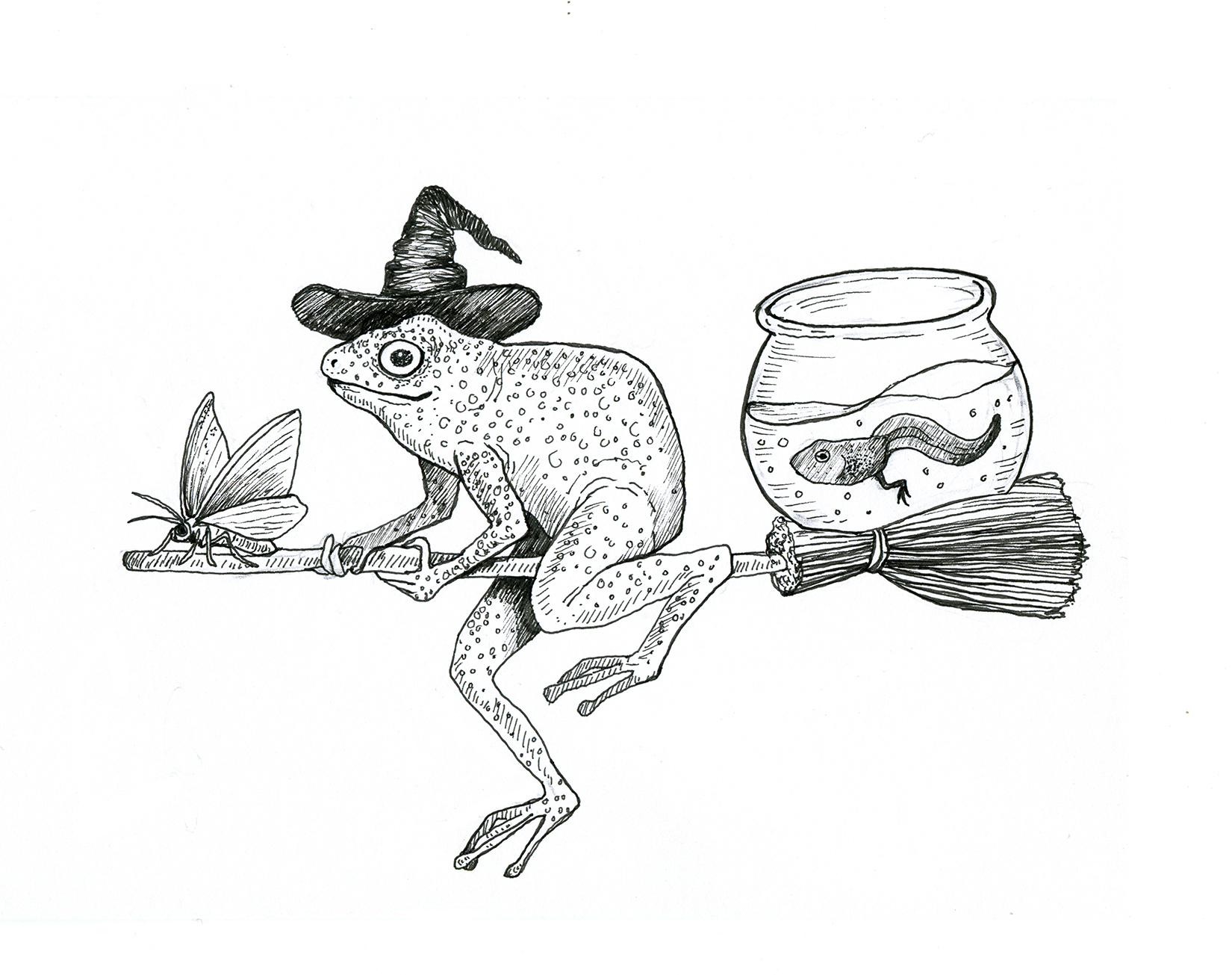 Halloween Frog, mustekynäpiirustus, Nadja Mikkilä, 2020