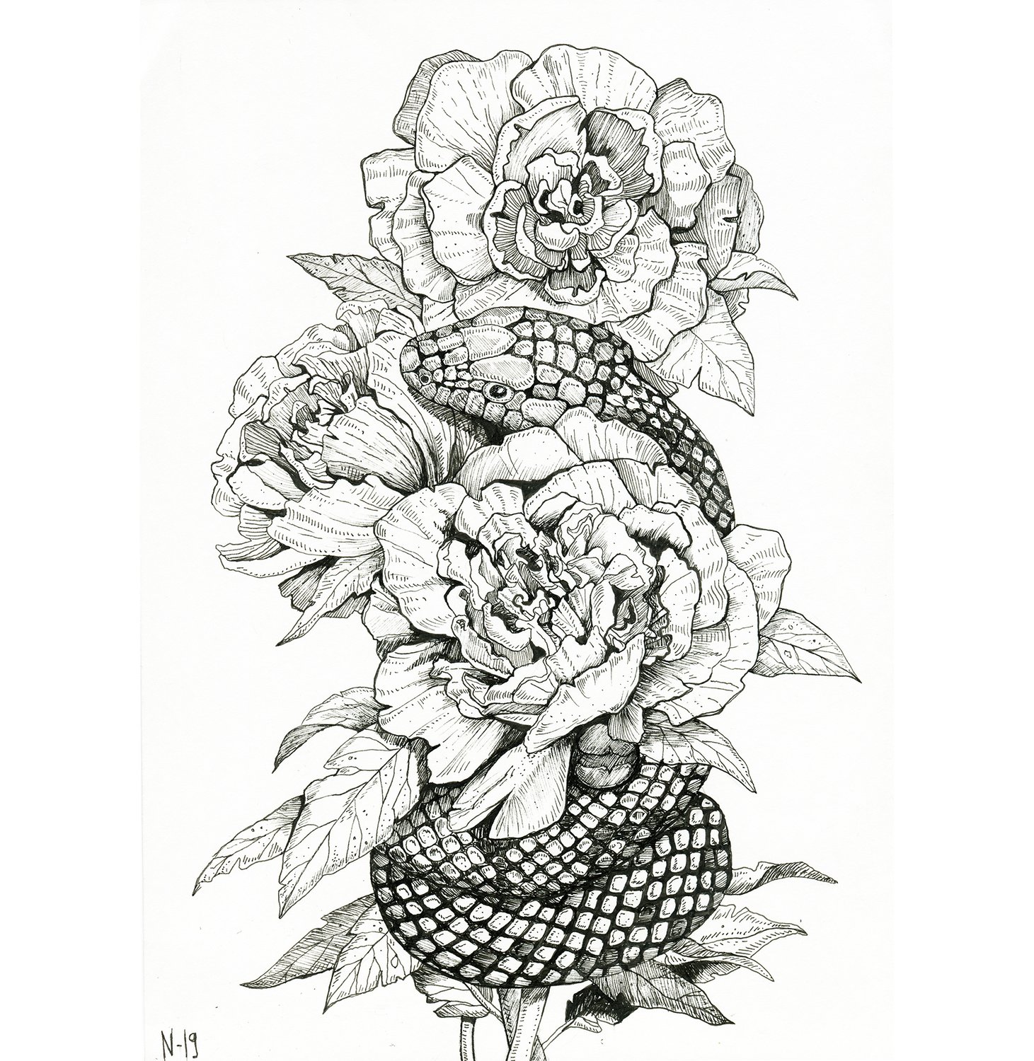Snake & Peony, mustekynäpiirustus, Nadja Mikkilä, 2019