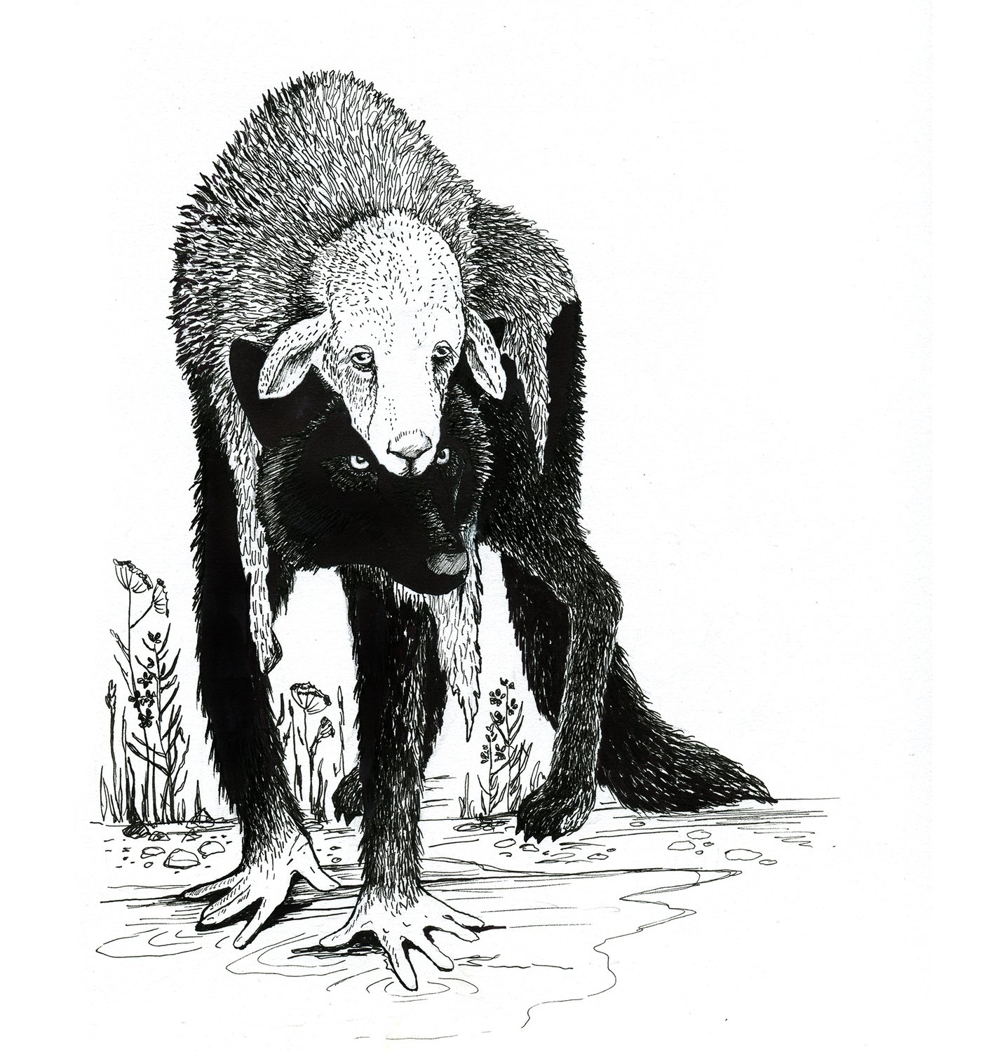 Susilammas, mustekynäpiirustus, Nadja Mikkilä, 2019