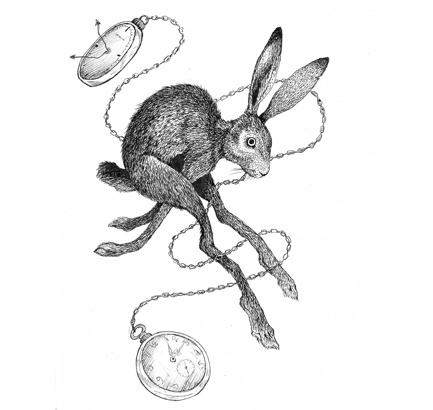 Time Rabbit, mustekynäpiirustus, Nadja Mikkilä